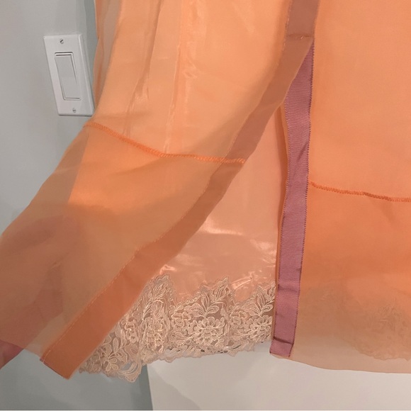 Organza Sheer Skirt - Picture 6 of 6